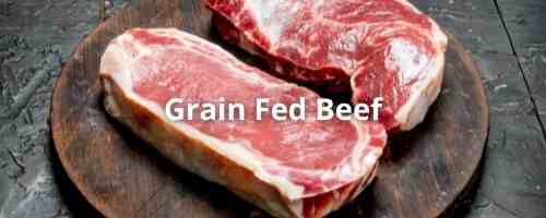 USA Grain Fed Beef